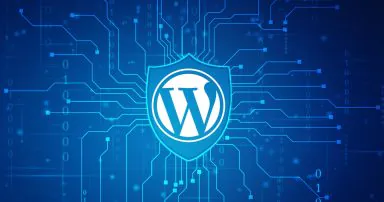Read more about the article Websites: Getting Started -WordPress, Plugins & Themes